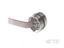 154N-300V-R
