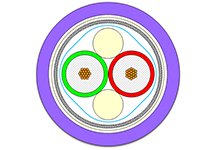 1554211004
