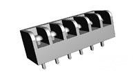 3PCV-06-304