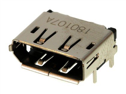 DisplayPort*