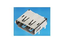 DisplayPort*