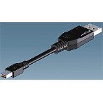 DisplayPort*