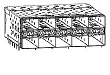 SFP Plus