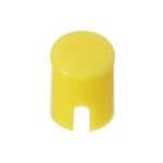 95CAP-010