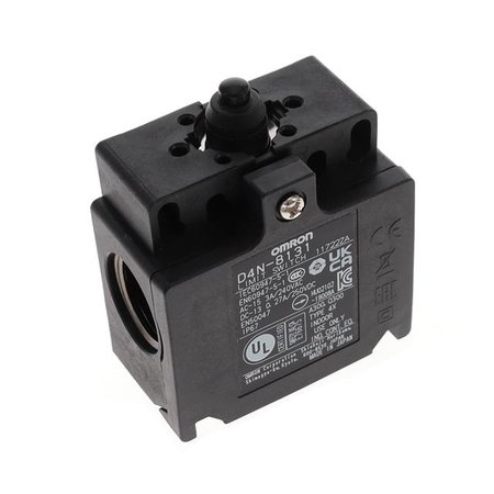 D4N8131