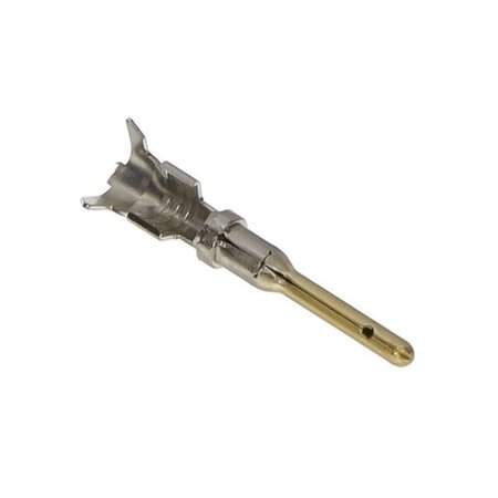 IT16-P22