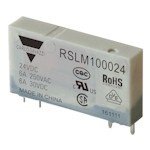 RSLM100048