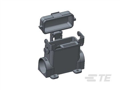 T1629101225-000