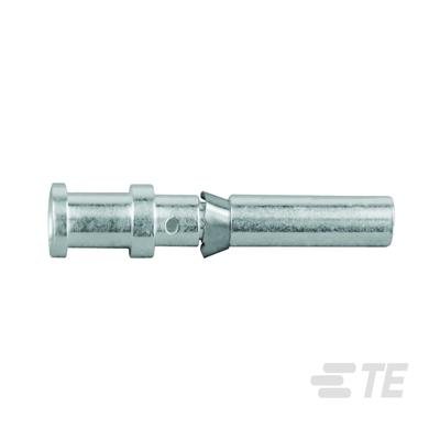 T2020002025-000