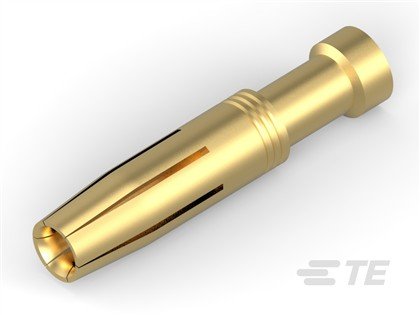 T2030012025-000