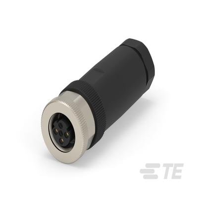 T4110502031-000