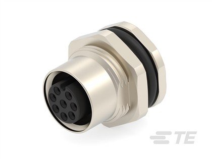 T4131012081-000