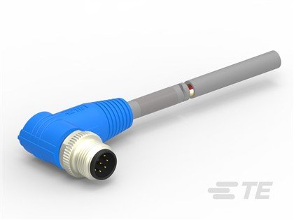 T4161220008-004