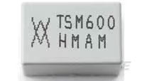 TSM600-250F-RA-2